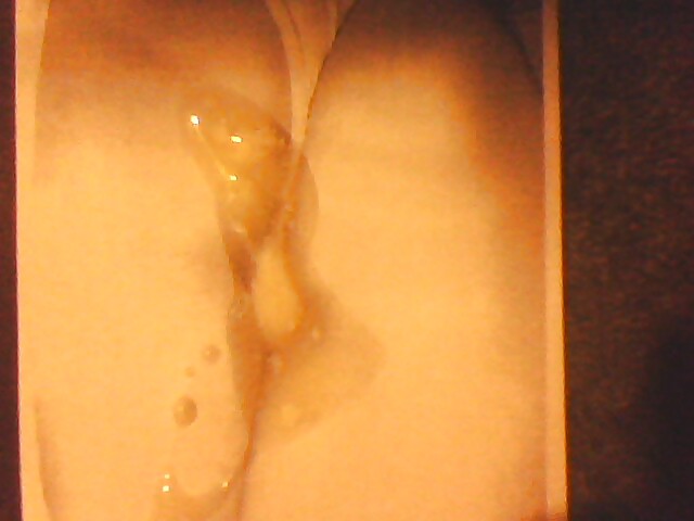 Brunamartina #4192706