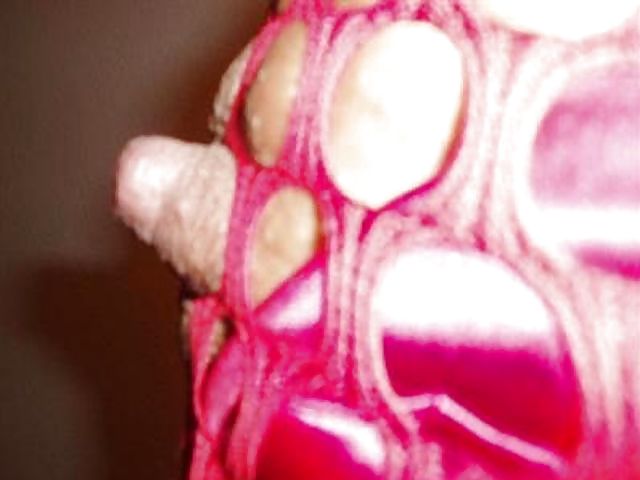 Scottish Swingers #9348644