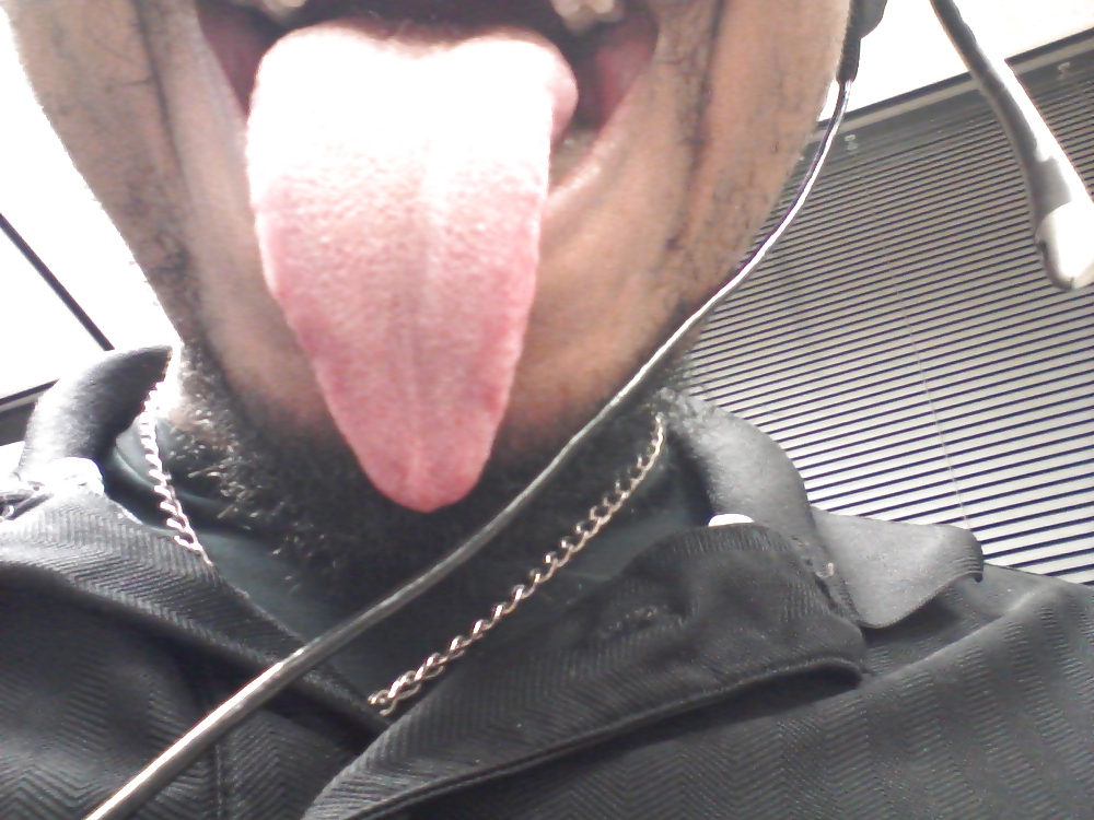 Pussy and ass hole pleaser