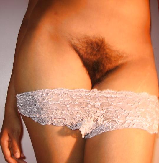 Desi Hairy Porn Pics Pictoa 