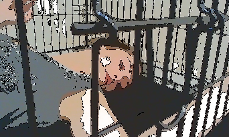Caged Slave ... #6558722