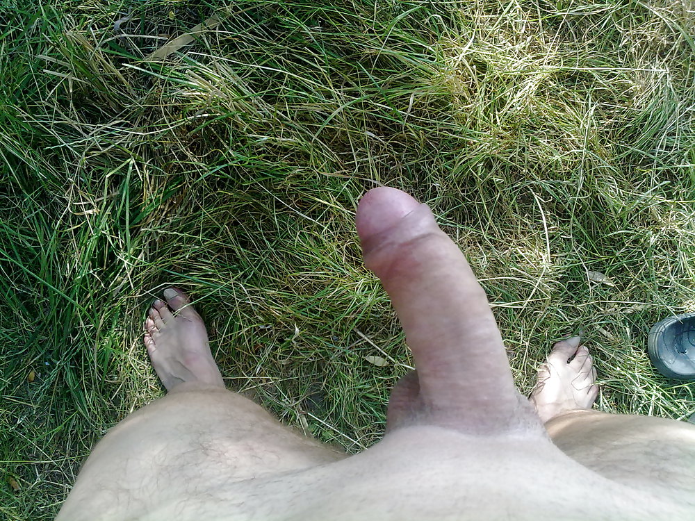 Mein liebling
 #20270015