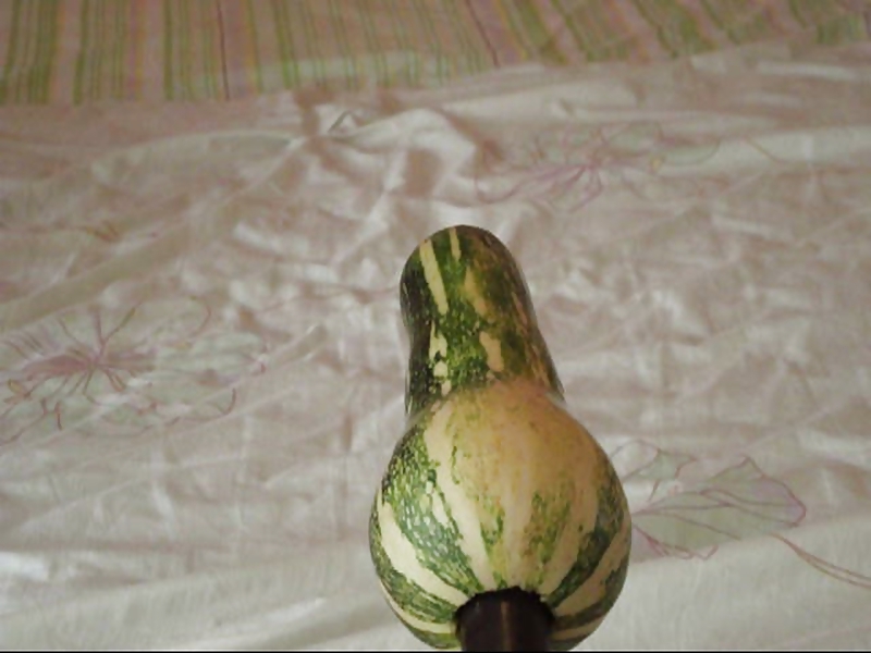 Calabaza #8319248