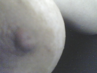 My nipples #1429090
