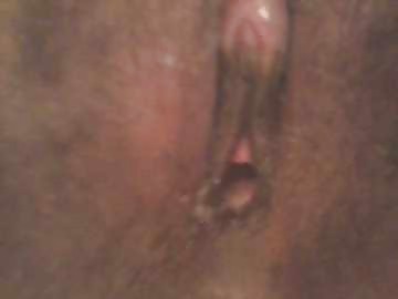 New week new pussy #14592840