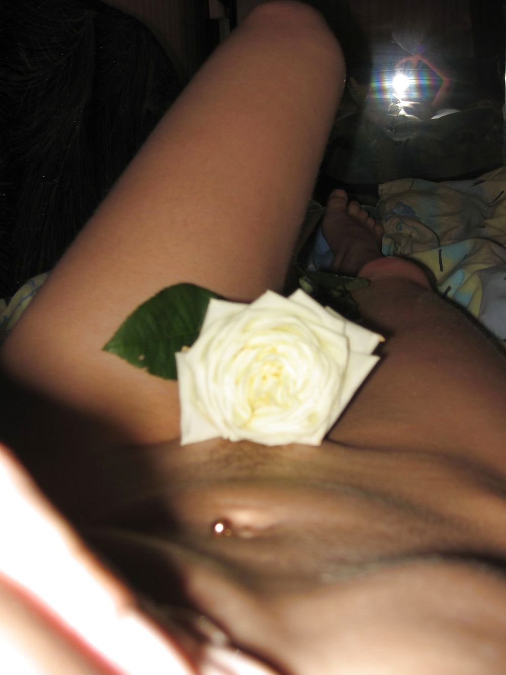 Amateur Honey 50 #4161817