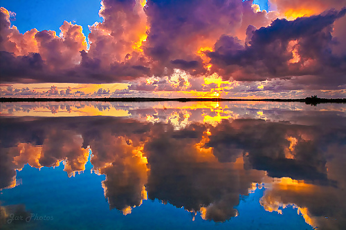 Gatos del cielo....
 #15052310