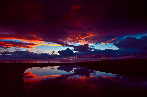 Gatos del cielo....
 #15052314