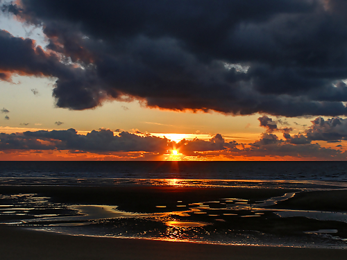 Gatos del cielo....
 #15052325