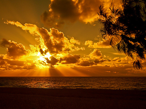 Gatos del cielo....
 #15052329