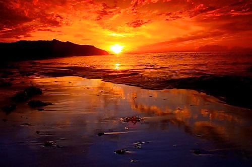 Gatos del cielo....
 #15052333