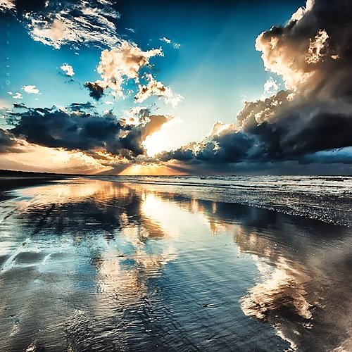 Gatos del cielo....
 #15052346