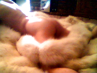 Own pics #3480632