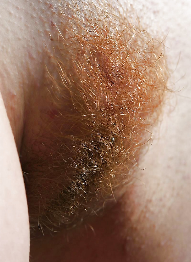 Hairy Pussy for Dessert #12072810