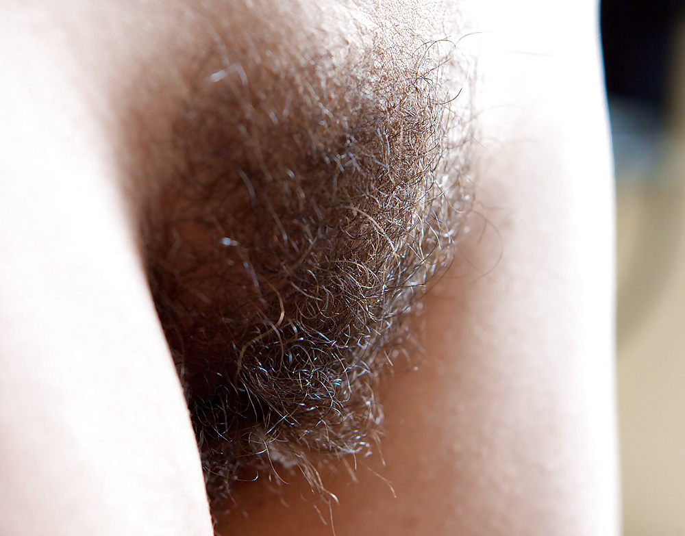 Hairy Pussy for Dessert #12072935