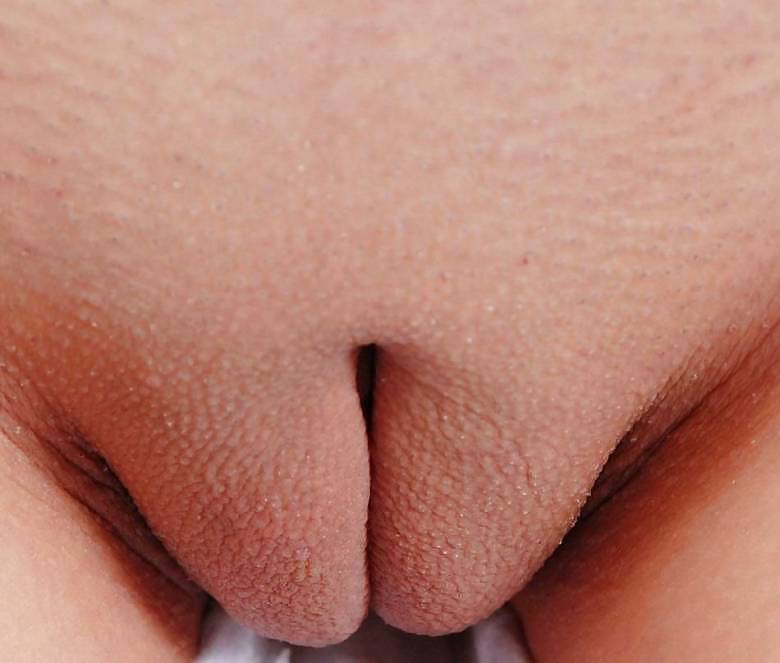 Cameltoe Sammlung #21089569