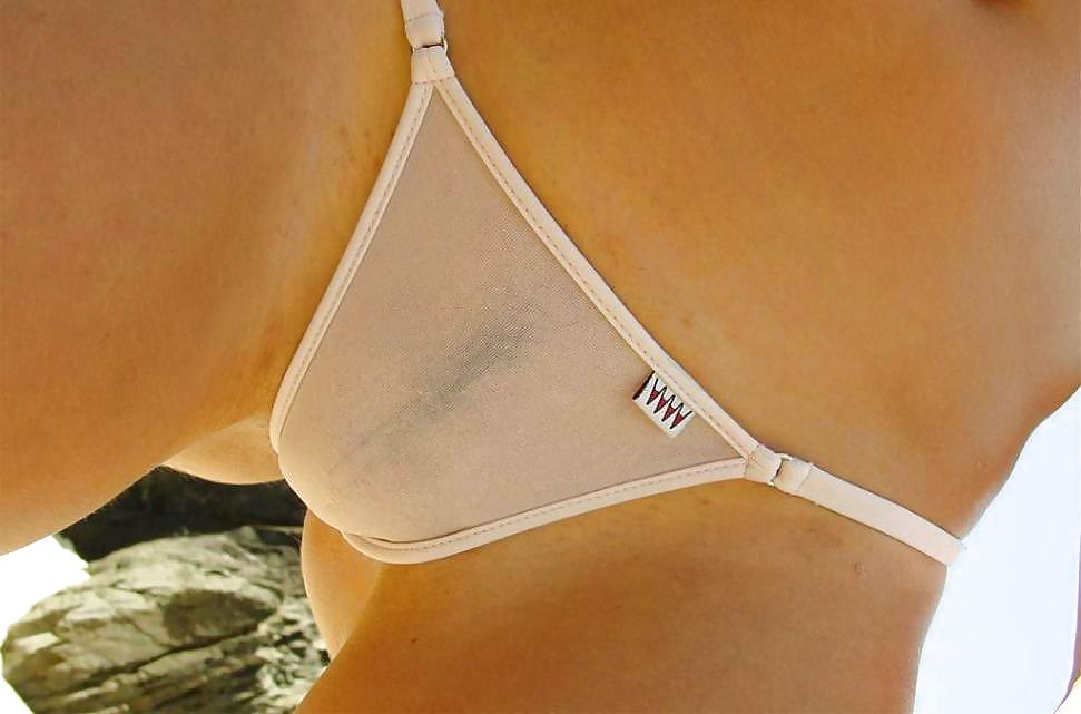 Camel Toes1 #8865000