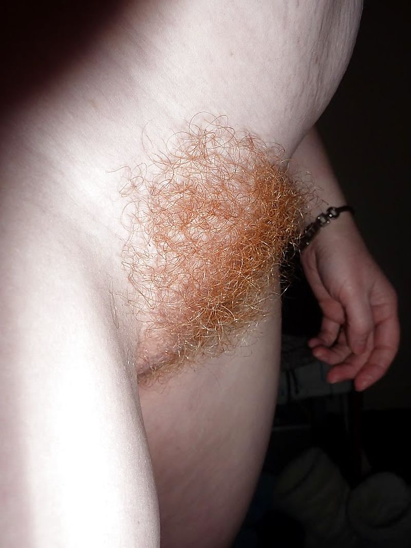 Redhair 13 #4475393