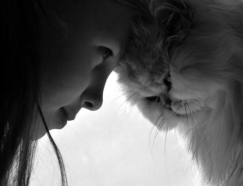 Pour elle 15
 #7402599