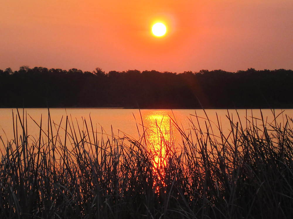 At the lake! #3841932