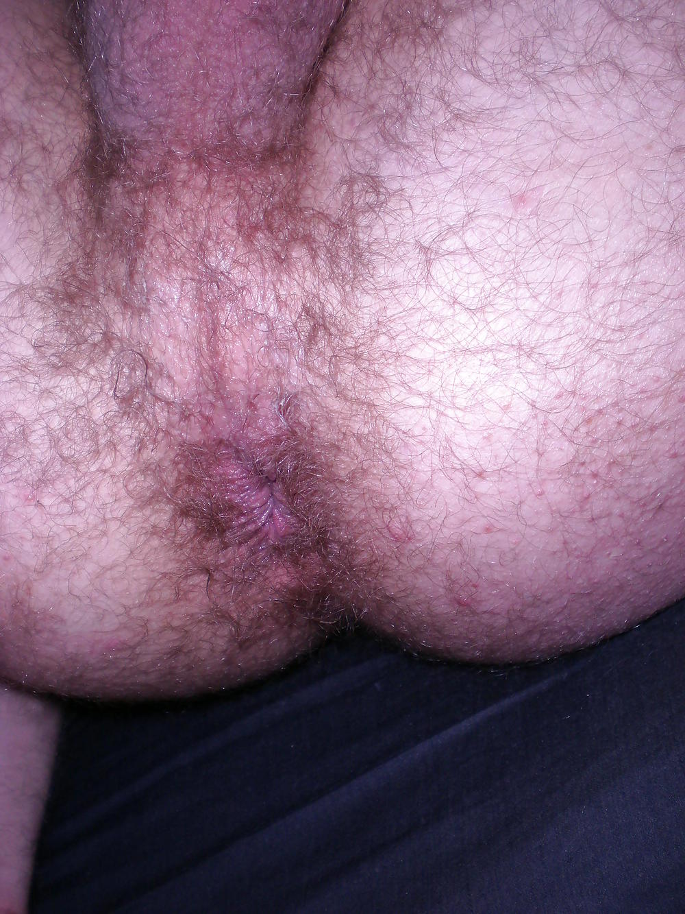 Dirty hairy ass #3045728