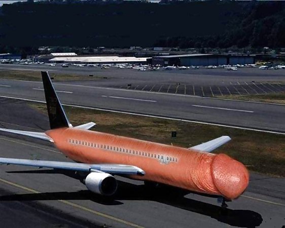 Fly #4313950