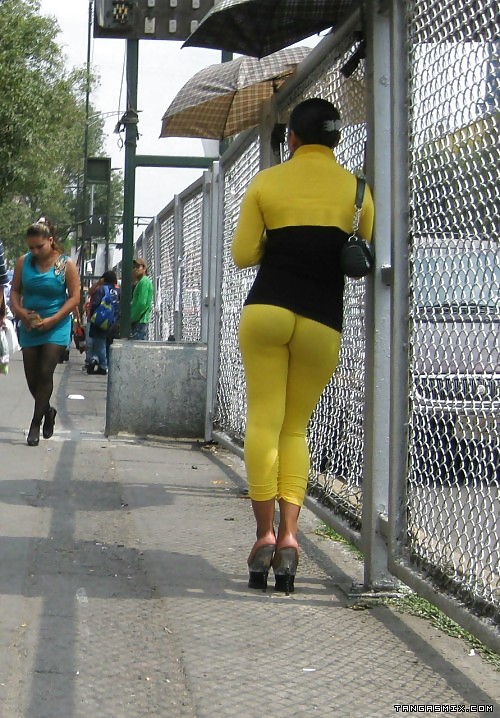 Traseros 8
 #15282010