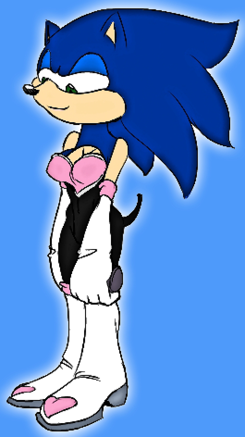 Sonic The Hedgehog - Herm #11864227