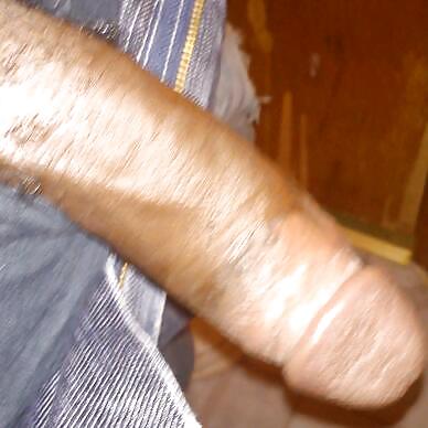 My long dick #10021693