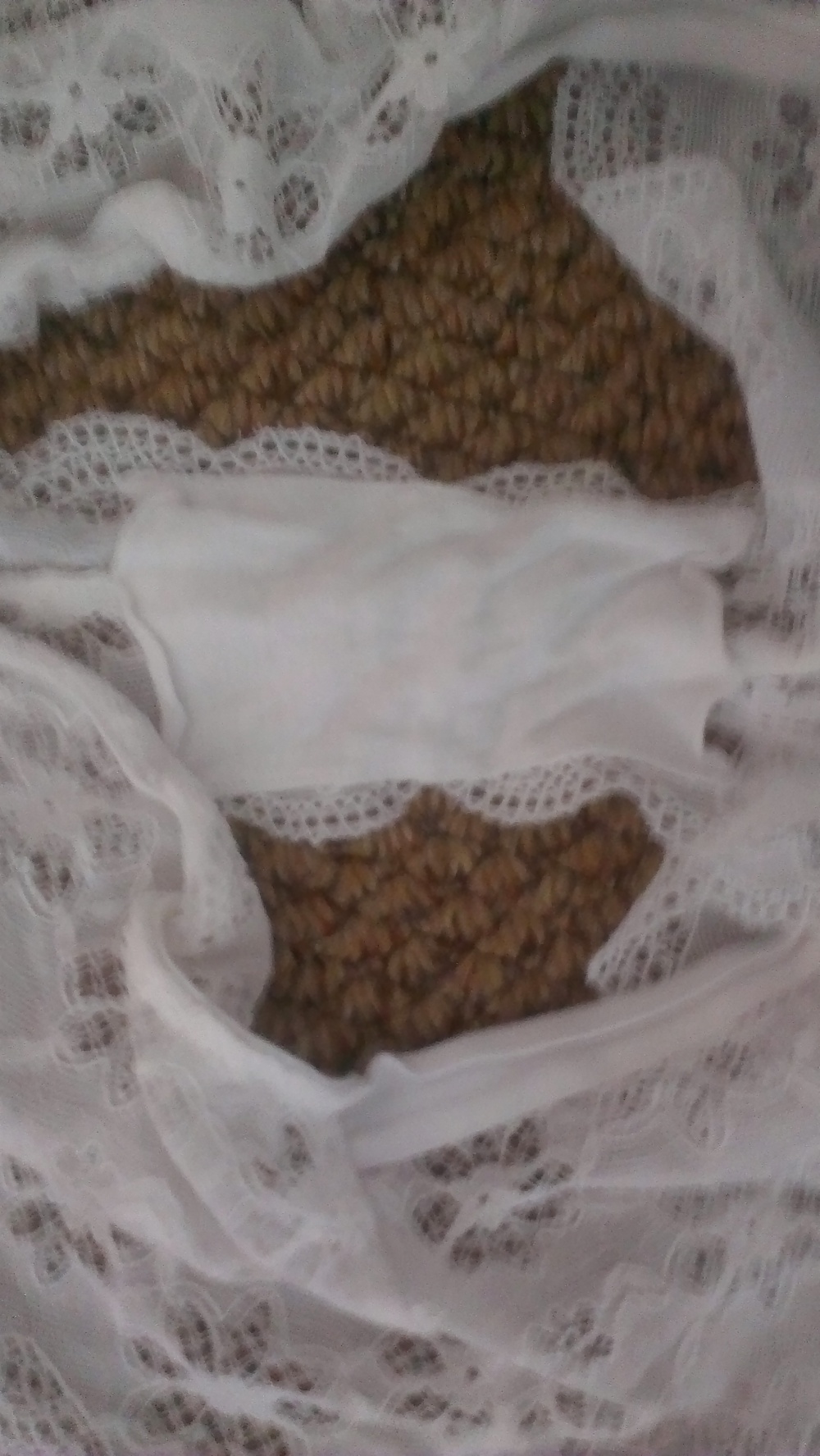 Chums gf amys pantys 5 #9300804