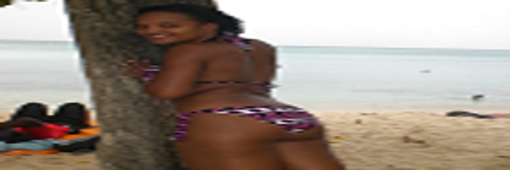 Coquine des ile
 #10140080