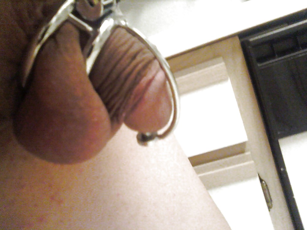 Caged Hähne, Hahnrei Penis In Käfigen #11644147