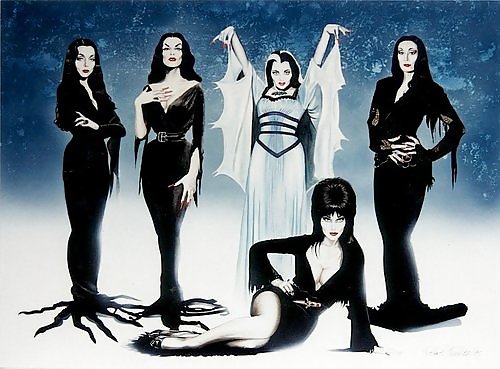 モーティシアです。
 #17101814