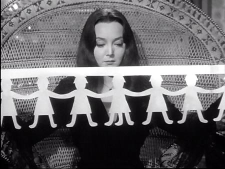 モーティシアです。
 #17101879