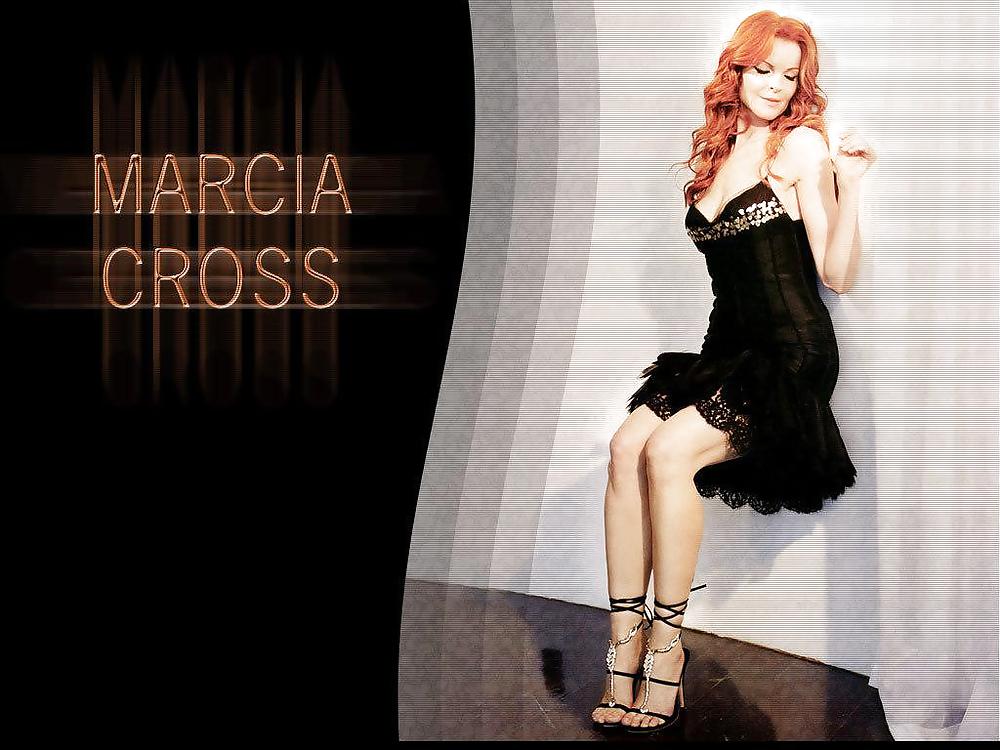 Marcia Cross mega collection #6817305
