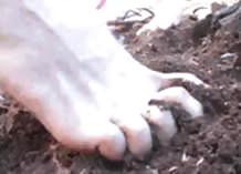 Bei piedi sporchi (dal web)
 #5676411