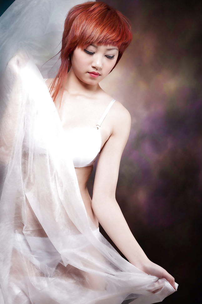 Vietnamese - Model #16747749