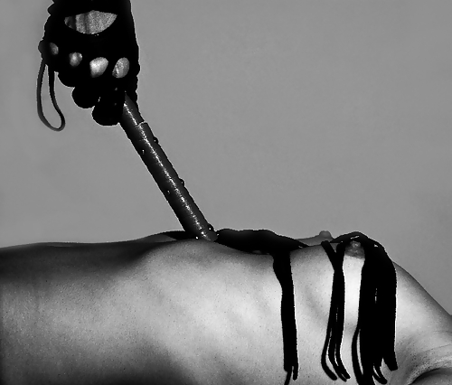 Dominance and submission 14 #16854322
