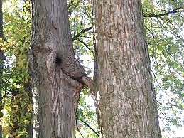 Sex in nature #8455072