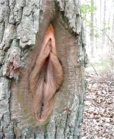 Sexo en la naturaleza
 #8455078