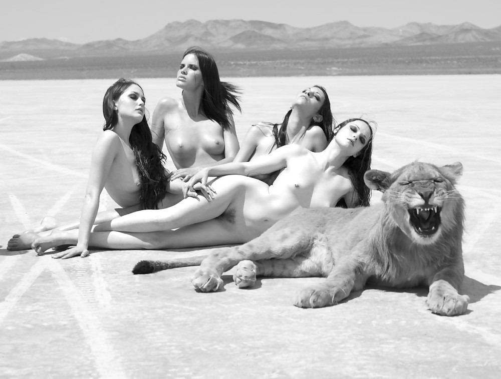 Big Cats #4232832