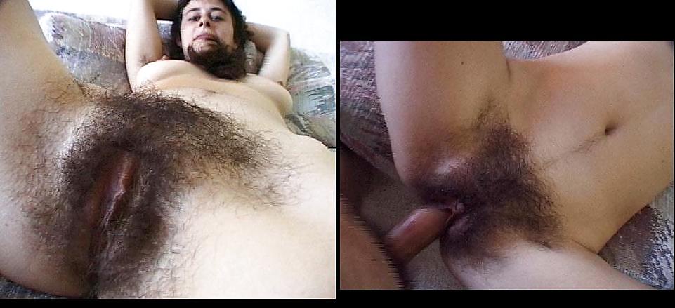 Hairy Cunts 3 #4603479