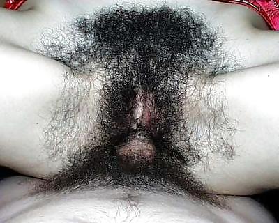 Hairy Cunts 3 #4603532