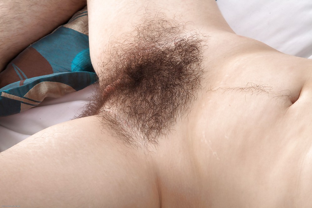 Hairy gallery vii
 #20380673