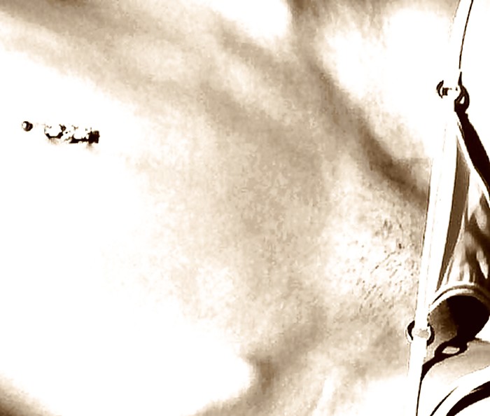 Goldenwife 6
 #11850330