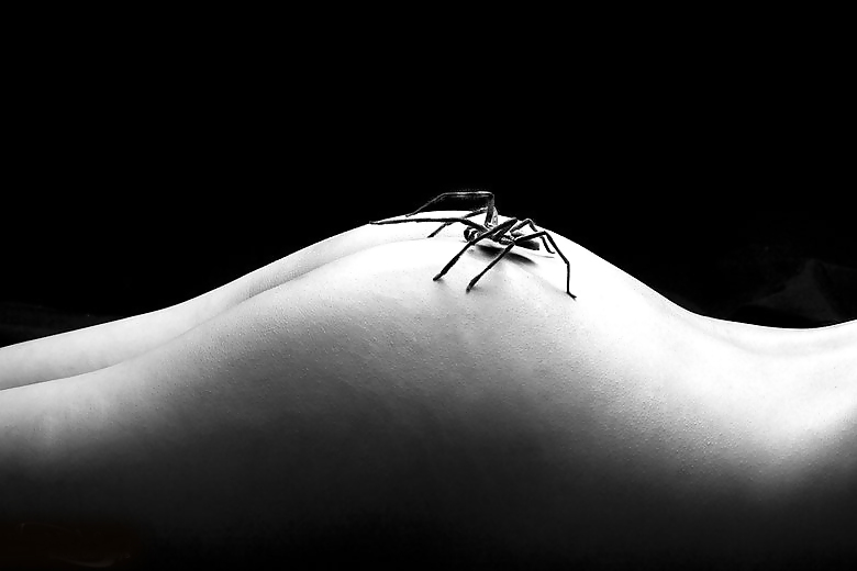 The Twosome #4187181