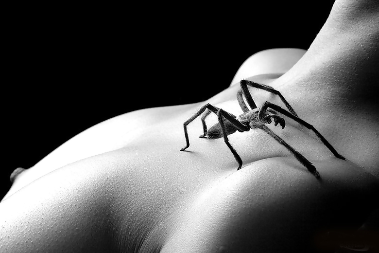 The Twosome #4187239