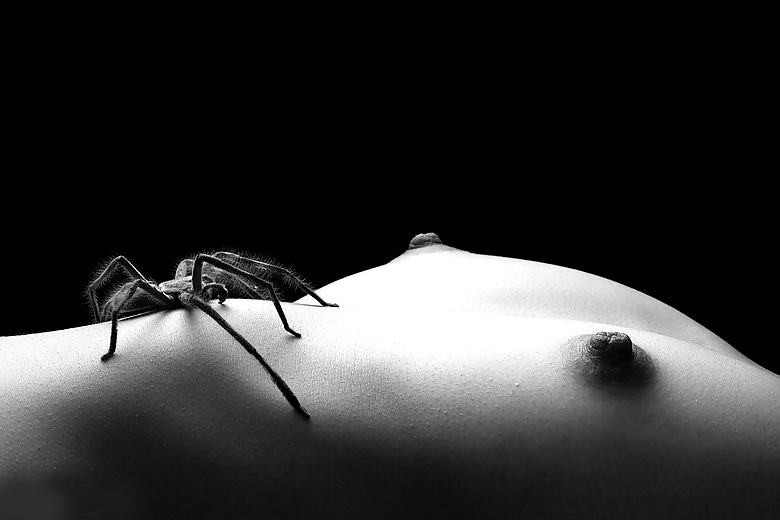 The Twosome #4187253