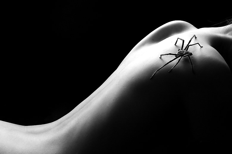 The Twosome #4187259