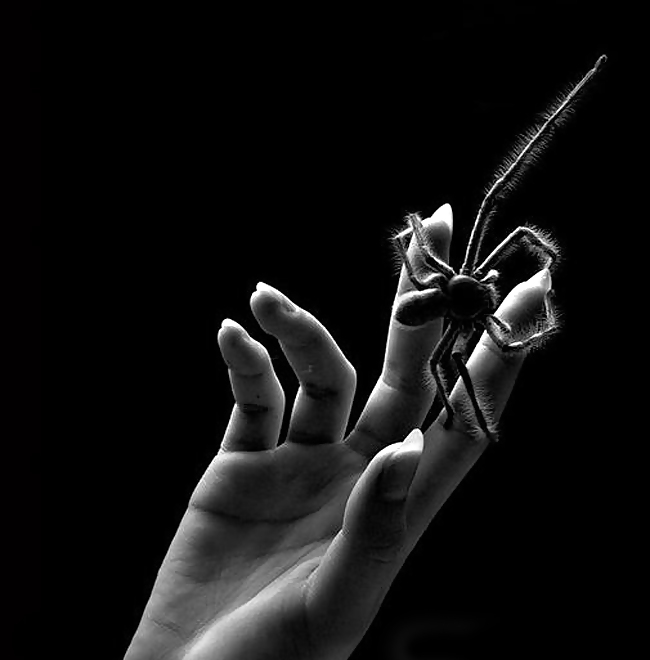 The Twosome #4187266